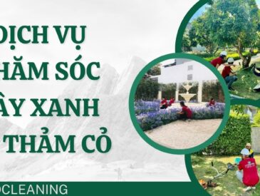 dịch-vụ-chăm-sóc-cây-xanh-và-thảm-cỏ-procleaning