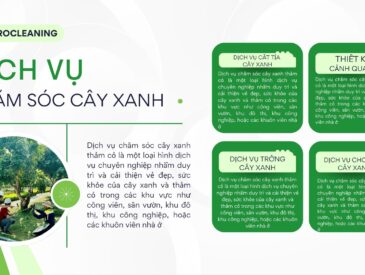 dịch-vụ-chăm-sóc-cắt-tỉa-cây-xanh